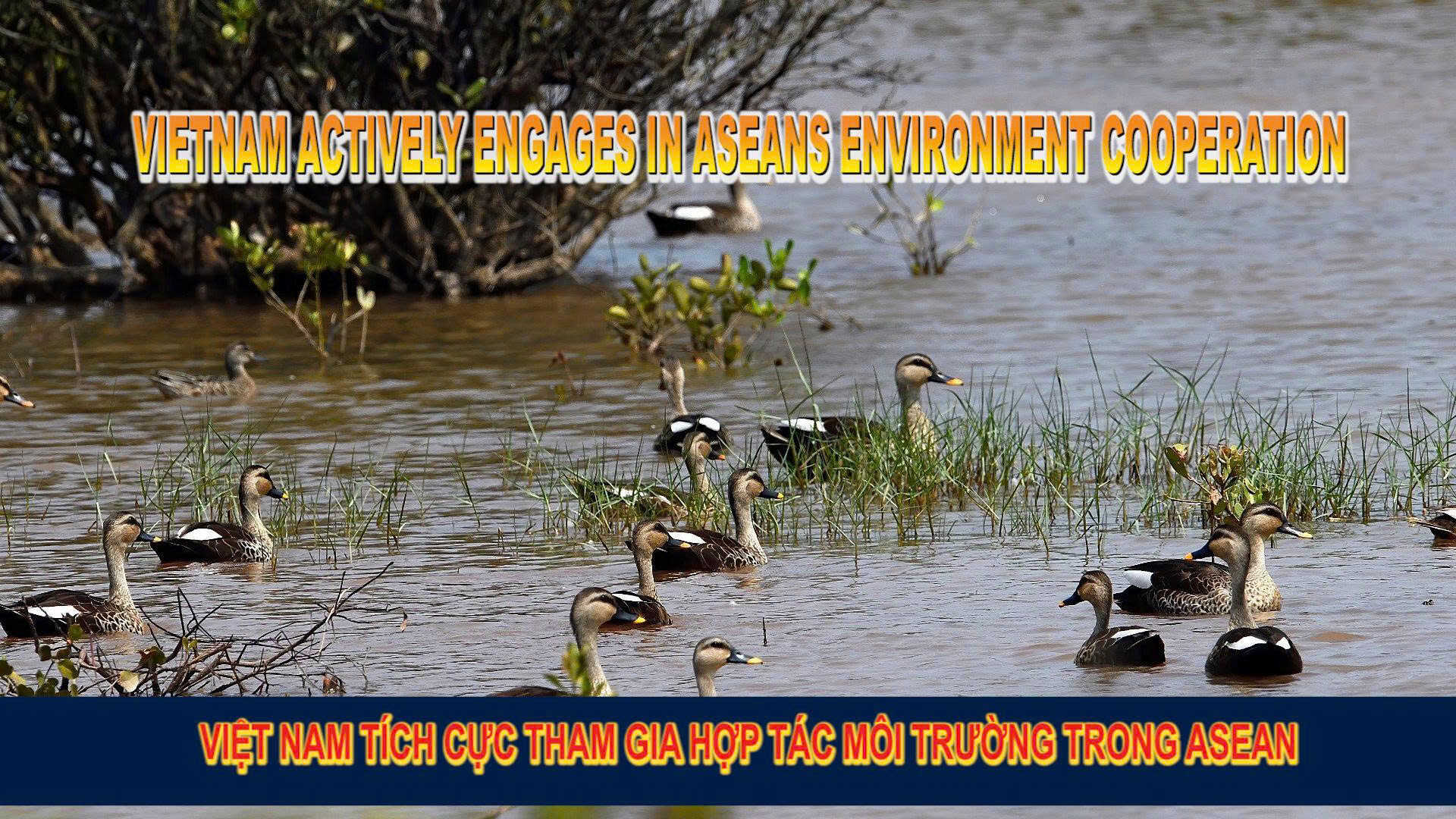 Vietnam actively engages in ASEAN’s environment cooperation 